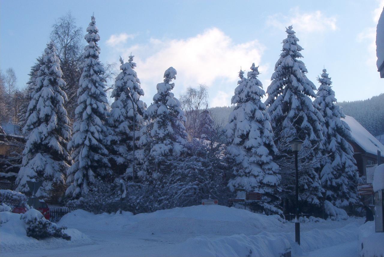 Hotel Pension Am Kurmittelhaus Bad Grund Esterno foto